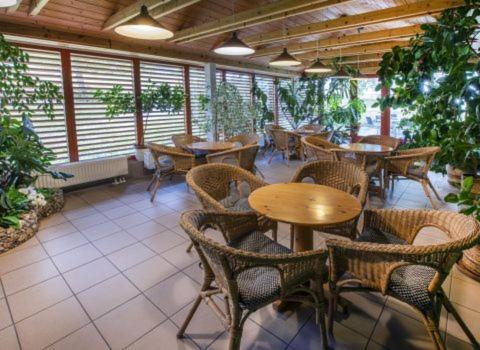 Renerovka 93 Hotell Dolní Malá Úpa Exteriör bild