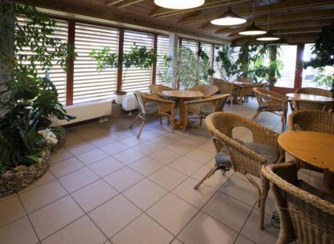 Renerovka 93 Hotell Dolní Malá Úpa Exteriör bild