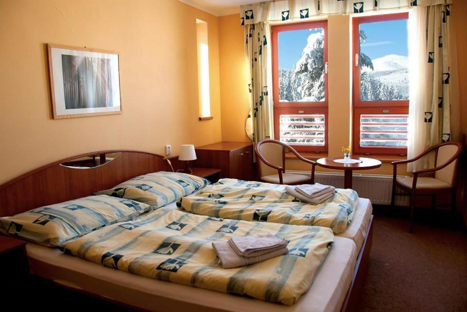Renerovka 93 Hotell Dolní Malá Úpa Exteriör bild