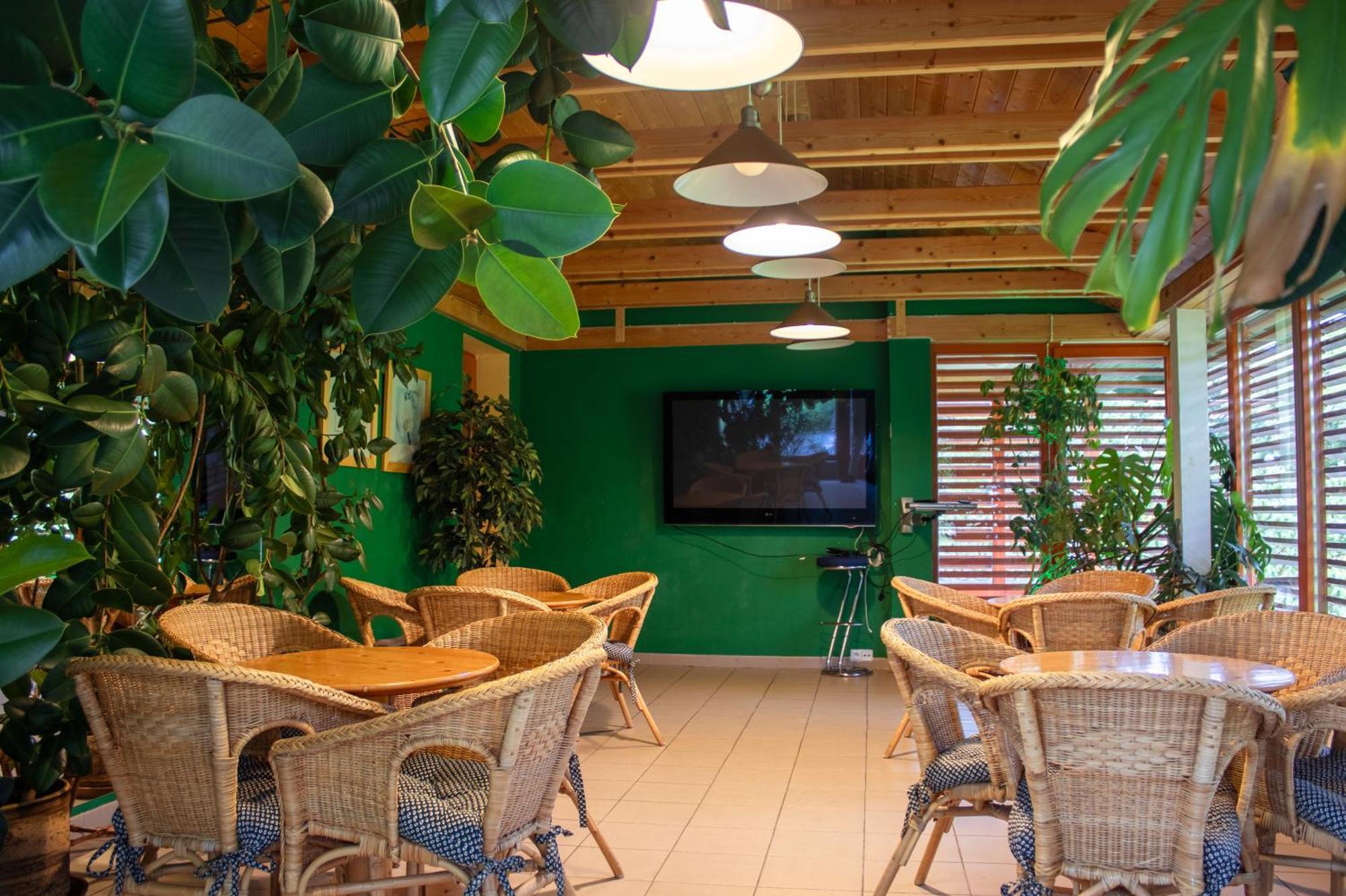 Renerovka 93 Hotell Dolní Malá Úpa Exteriör bild